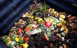 Certyfikowany kompost powstaje w zakładzie niedaleko Giżycka